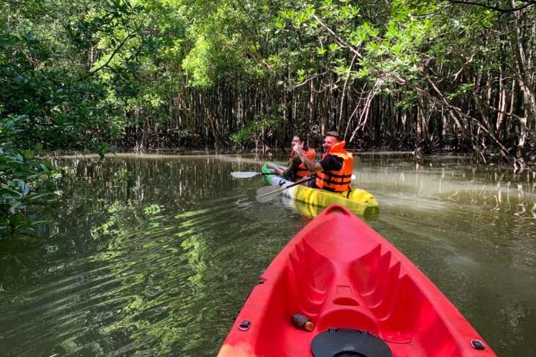 Ao Nang : Excursion en kayak dans la forêt de mangroves de Krabi avec déjeuner