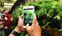 Denver, Cannabis Tour with Grow Facility Access - Housity