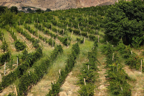 A One-Day Culinary Journey from Yerevan