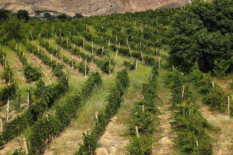 A One-Day Culinary Journey from Yerevan