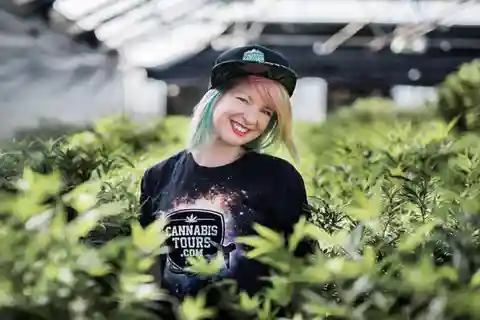Denver: Tour privado de lujo sobre el cannabis