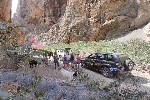 Crete: Zaros and Trypiti Gorge Off-Road Tour w/ Lunch & Wine Crete: Trypiti Gorge and South Cretan sea Safari