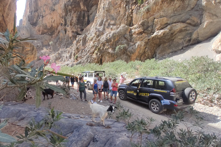 Creta: Passeio Off-Road ao Sul da Praia de Trypiti com almoço e vinhoCreta: Desfiladeiro de Trypiti e safári no mar de Creta do Sul