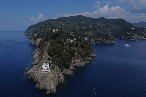 Baignade avec les cétacés Visite privée en bateau Genova Portofino