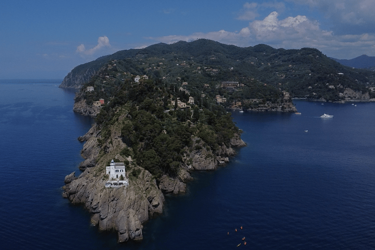 Baignade avec les cétacés Visite privée en bateau Genova Portofino