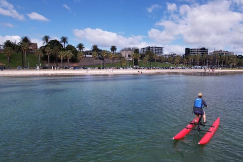 Geelong: Water Bike Coastal Tour
