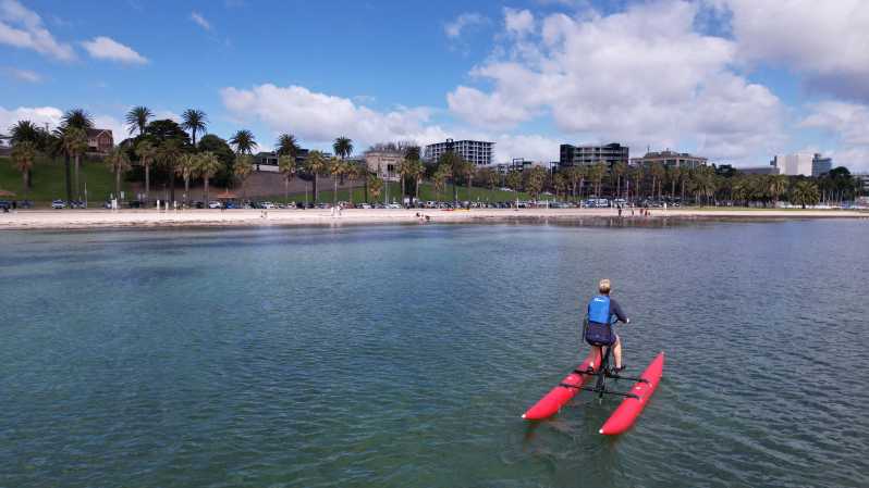 Geelong: Water Bike Coastal Tour