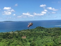 Vanuatu Jungle Zipline - Housity