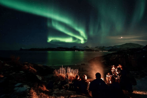 Tromsø : Excursion aux aurores boréales avec dîner et boissons chaudesTromsø : Visite des aurores boréales avec dîner et boissons chaudes