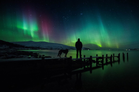 Tromsø: Nordlicht-Tour mit Abendessen und Heißgetränken