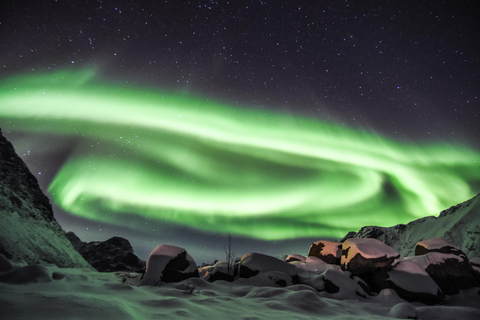 Tromsø : Excursion aux aurores boréales avec dîner et boissons chaudesTromsø : Visite des aurores boréales avec dîner et boissons chaudes