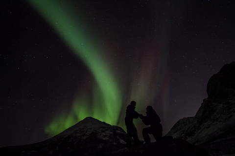 Tromsø : Excursion aux aurores boréales avec dîner et boissons chaudesTromsø : Visite des aurores boréales avec dîner et boissons chaudes