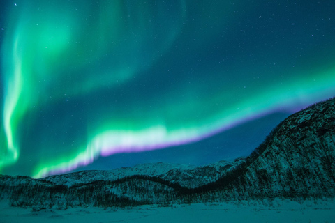 Tromsø: Nordlicht-Tour mit Abendessen und Heißgetränken