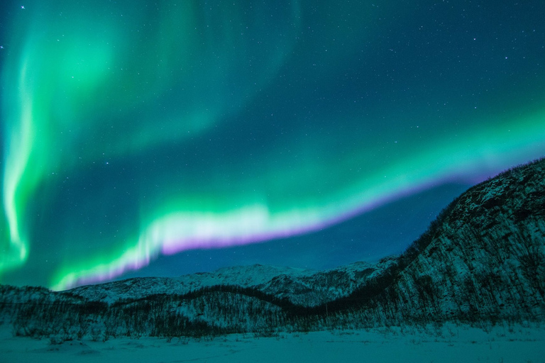 Tromsø: Nordlicht-Tour mit Abendessen und Heißgetränken