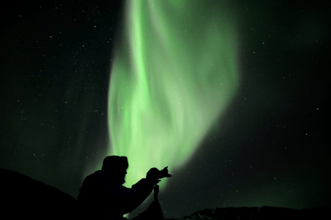 Tromsø: Nordlicht-Tour mit Abendessen und Heißgetränken