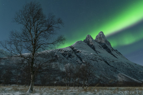 Tromsø: Nordlicht-Tour mit Abendessen und Heißgetränken