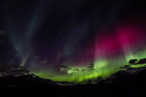 Tromsø : Excursion aux aurores boréales avec dîner et boissons chaudesTromsø : Visite des aurores boréales avec dîner et boissons chaudes