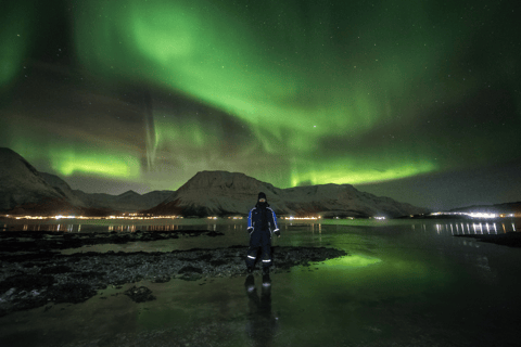 Tromsø : Excursion aux aurores boréales avec dîner et boissons chaudesTromsø : Visite des aurores boréales avec dîner et boissons chaudes