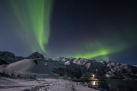 Tromsø: Nordlicht-Tour mit Abendessen und Heißgetränken