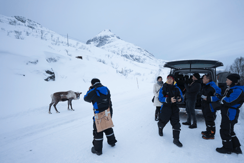 Tromso: Fjord Arctic Adventure ExpeditionFrom Tromso: Fjords Instagram Tour with Lunch &amp; Warm Drinks