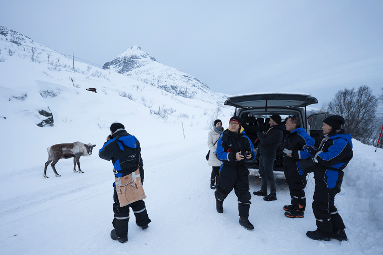 Tromsö: Fjord Arctic Adventure ExpeditionFrån Tromsö: Fjords Instagram-upplevelse med lunch och varma drycker