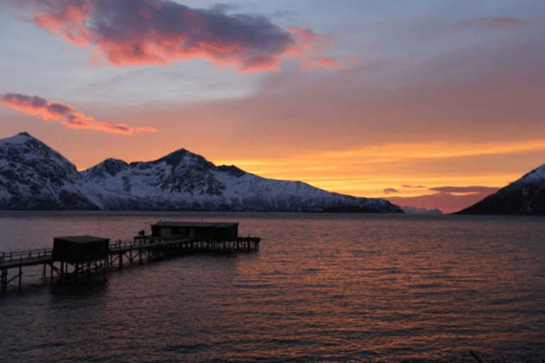 Tromso: Fjord Arctic Adventure ExpeditionFrom Tromso: Fjords Instagram Tour with Lunch &amp; Warm Drinks