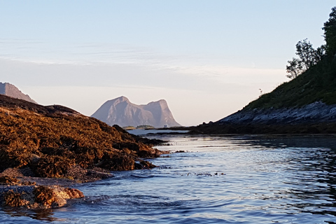 Tromso: Fjord Arctic Adventure ExpeditionFrom Tromso: Fjords Instagram Tour with Lunch &amp; Warm Drinks