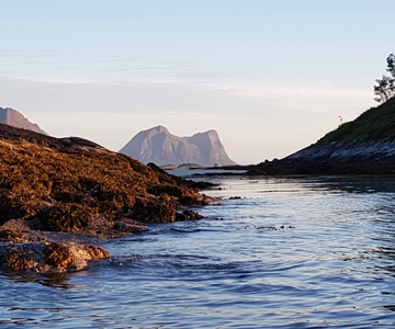 Tromso: Fjord Arctic Adventure Expedition