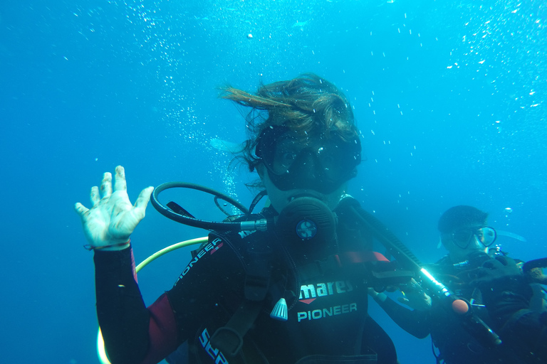 Catania: Scuba Diving motor boat