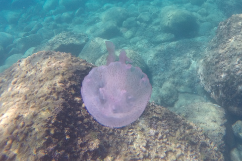 Catania: Scuba Diving motor boat