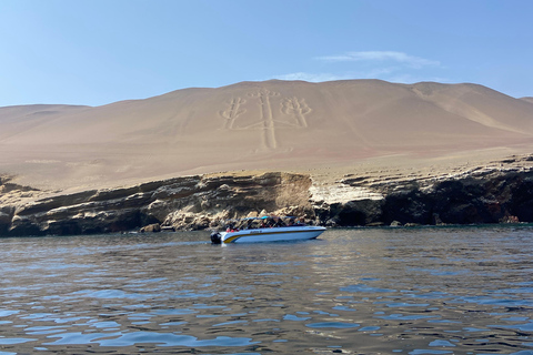 Paracas e Huacachina: Ilhas, Dune Buggy e Piquenique ao Pôr do SolParacas e Huacachina: Ilhas, Buggy nas Dunas e Piquenique ao Pôr do Sol