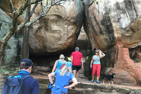 Colombo: Dambulla Cave Temple and Sigiriya Day Trip