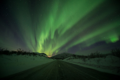 Abisko: Geführte Aurora-Jagd mit Hoteltransfers