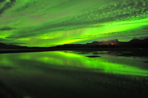 Abisko: Persecución Guiada de Auroras con Traslados al Hotel