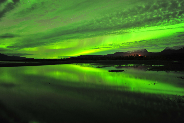 Abisko: Geführte Aurora-Jagd mit Hoteltransfers