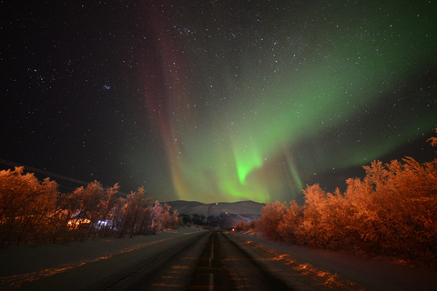 Abisko: Persecución Guiada de Auroras con Traslados al Hotel