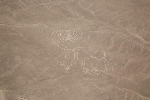 Lima: Voo sobre as Linhas de Nazca com traslado de ônibusLima: Voo sobre as Linhas de Nazca com transfer de autocarro