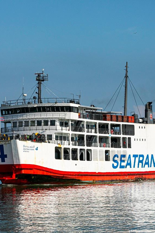 スラタニ産 トーマンブンガ 約40〜45cm