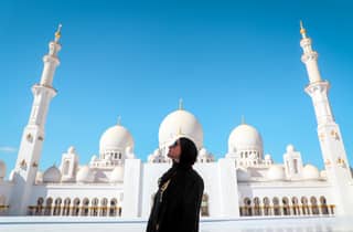 Depuis Dubaï : visite guidée de la mosquée Sheikh Zayed d'Abou Dabi