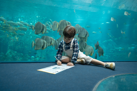 Nausicaá National Sea Center: Full-Day Entry Ticket