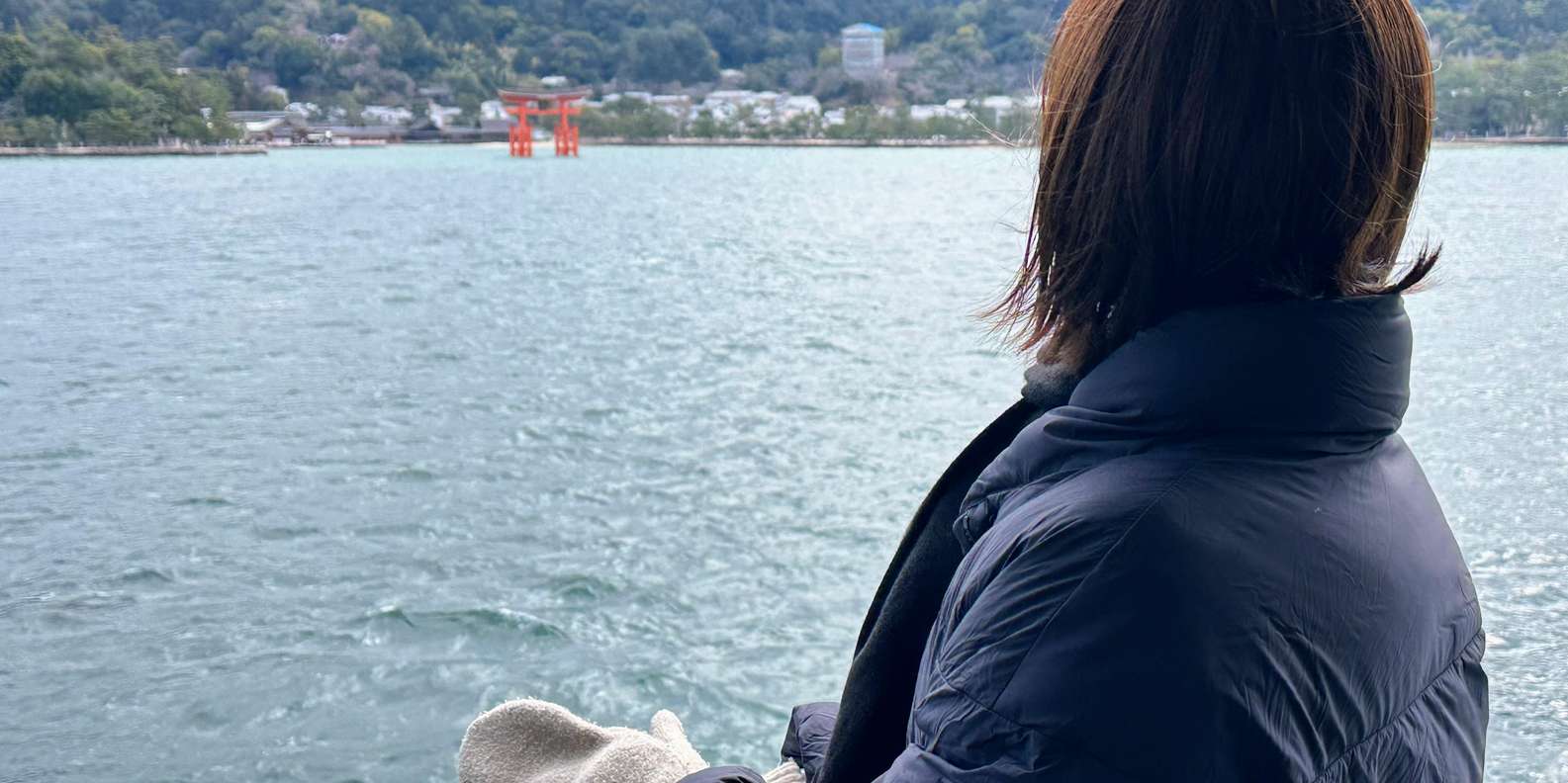 Hiroshima Miyajima tour — Peace Memorial and Miyajima Island — image 38