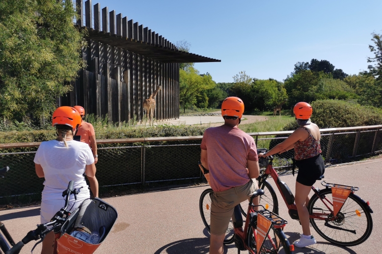 Lyon: 2-Hour Electric Bike Tour with a Local Guide Lyon: 2-Hour Electric Bike Tour in English