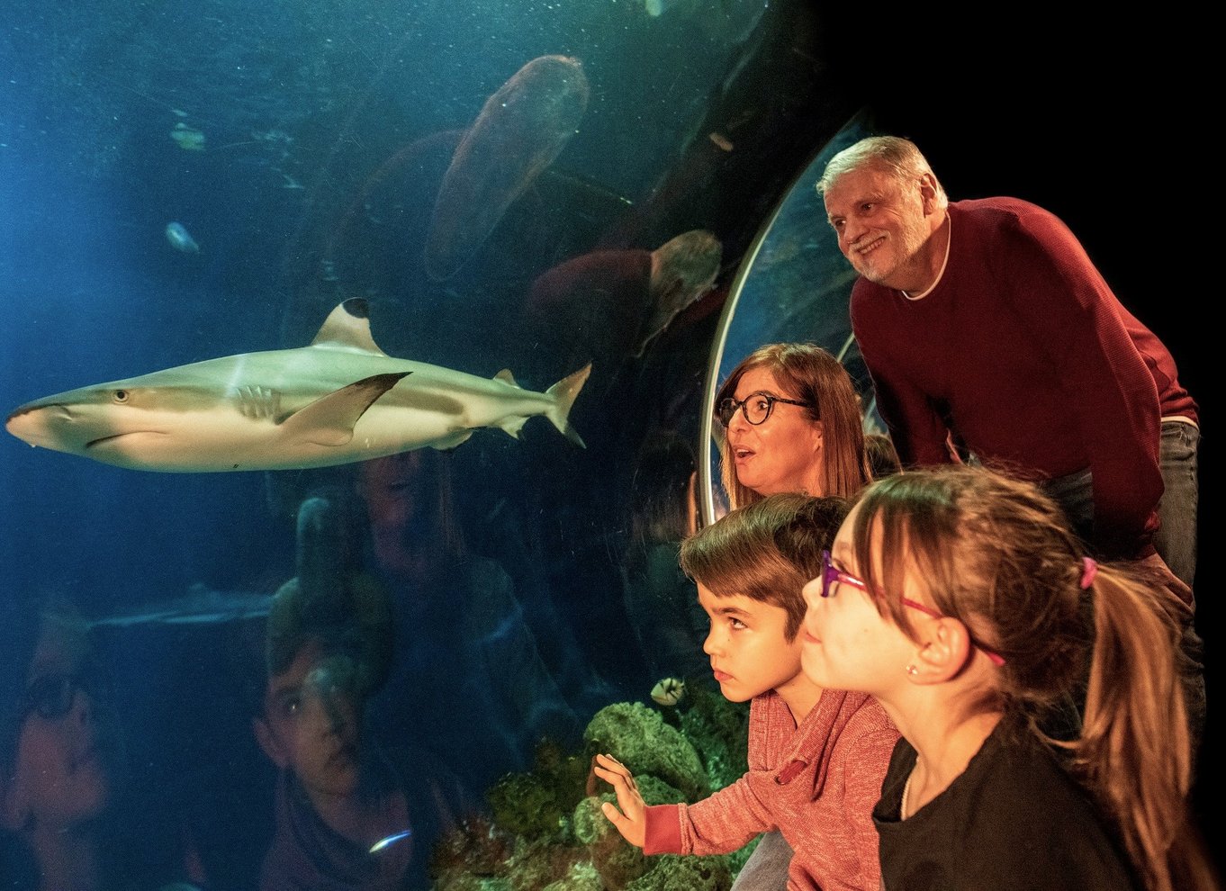 Oberhausen: Billet til LEGOLAND Discovery Centre og SEA LIFE