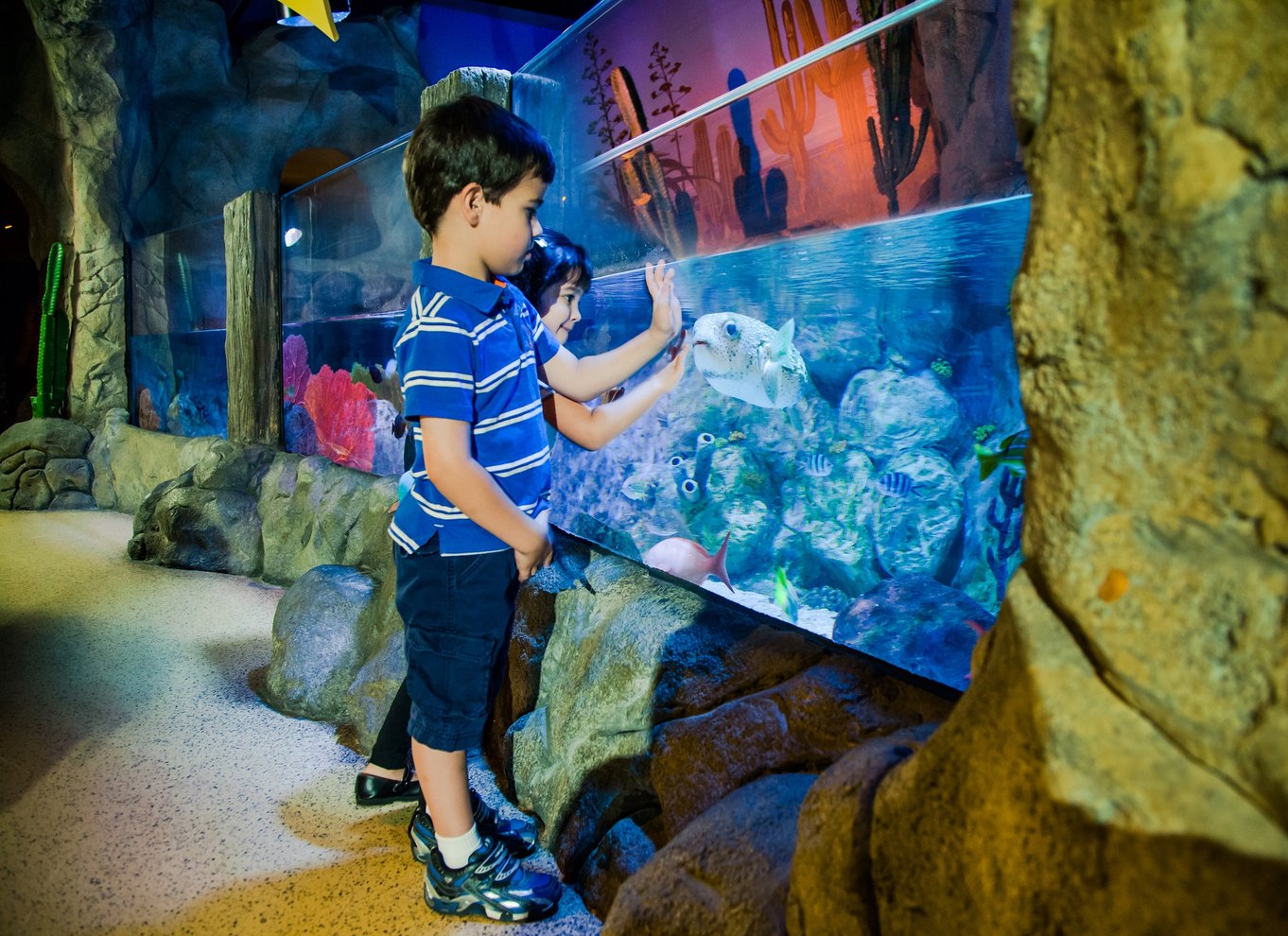 Oberhausen: Billet til LEGOLAND Discovery Centre og SEA LIFE