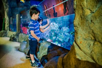 Oberhausen, LEGOLAND Discovery Centre and SEA LIFE Ticket - Housity