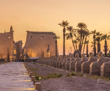 Museum Tour in Luxor: Luxor Museum and Mummification Museum