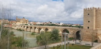 Von Malaga, Córdoba Tagesausflug mit Moschee-Kathedrale Tickets - Hizvo