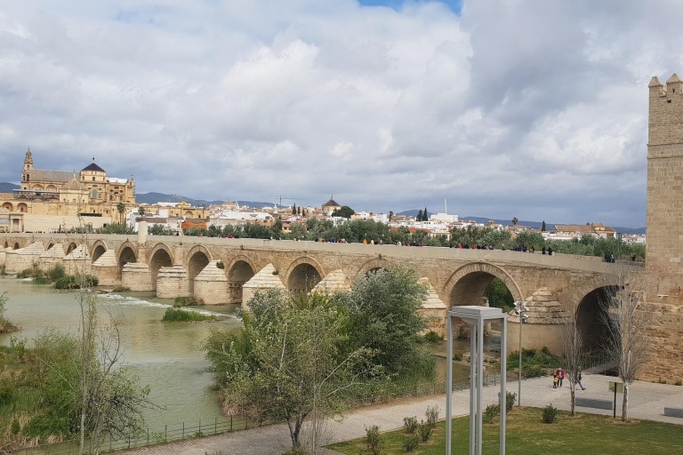 From Malaga: Cordoba Day Trip with Mosque-Cathedral Tickets From Torremolinos Beaches
