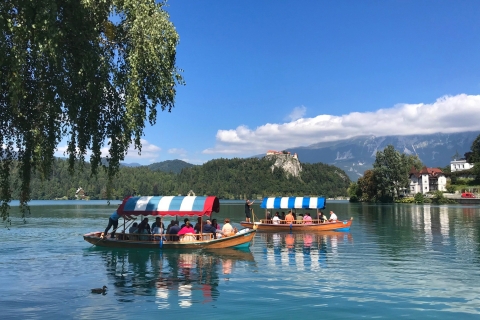 Van Porec: Alpine Jewel Lake BledVan Porec: dagtocht naar het meer van Bled