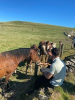 Desde Doolin, Acantilados de Moher paseo costero guiado - Hizvo